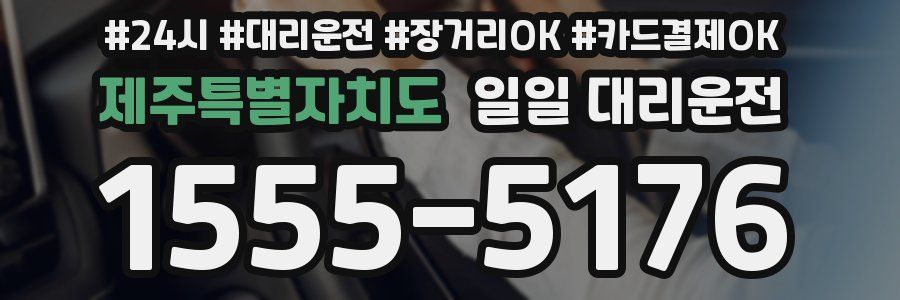 제주특별자치도 일일 대리운전