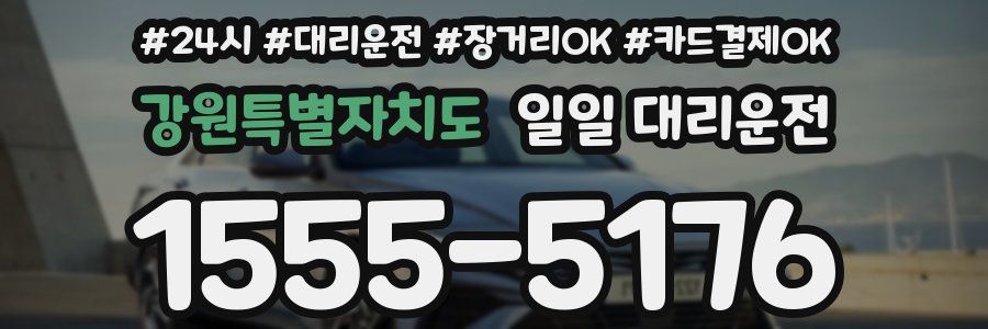 강원특별자치도 일일 대리운전