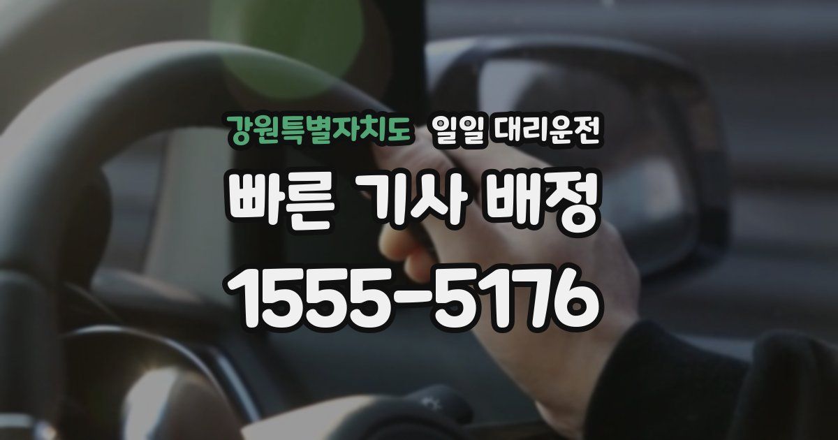 강원특별자치도 일일 대리운전