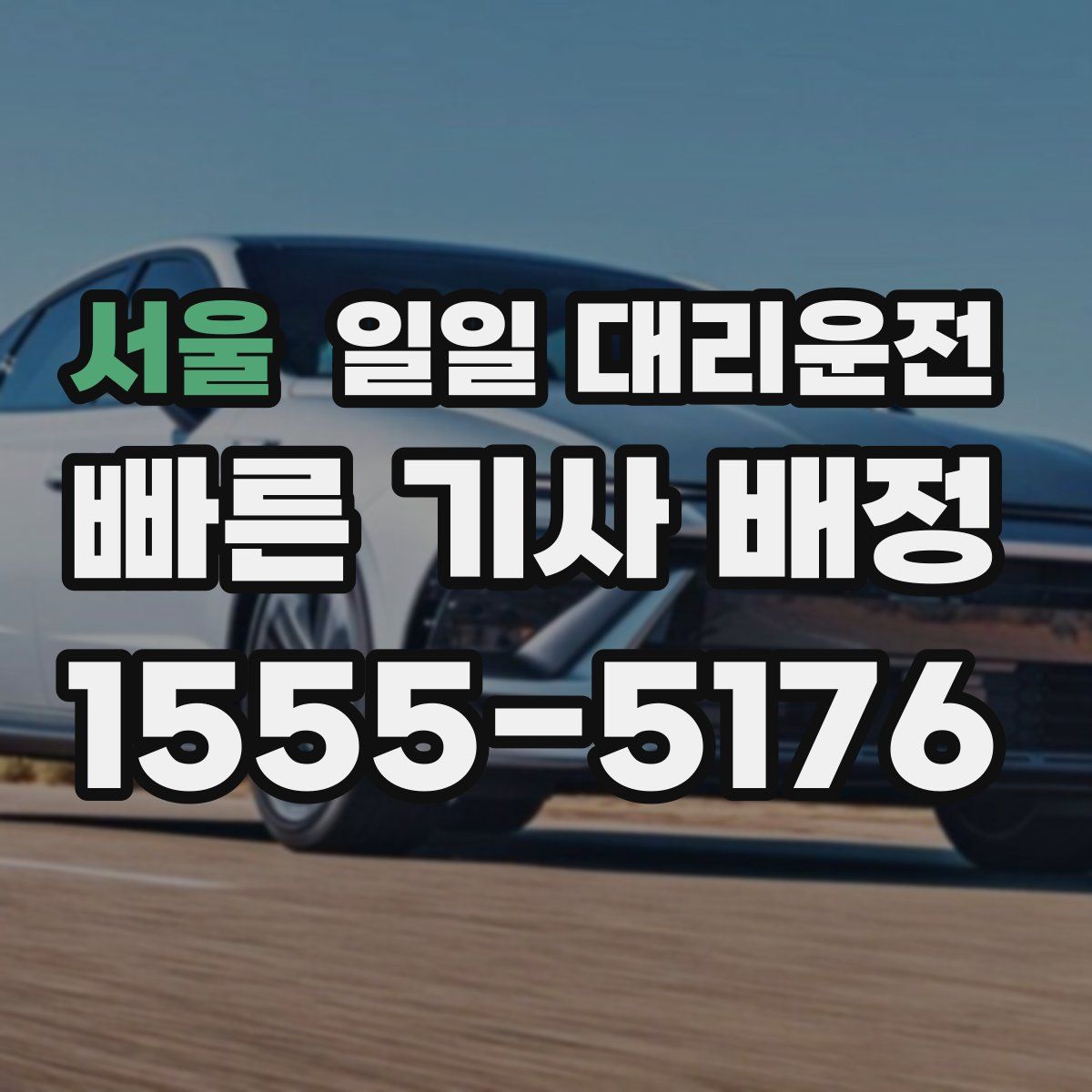 서울 일일 대리운전