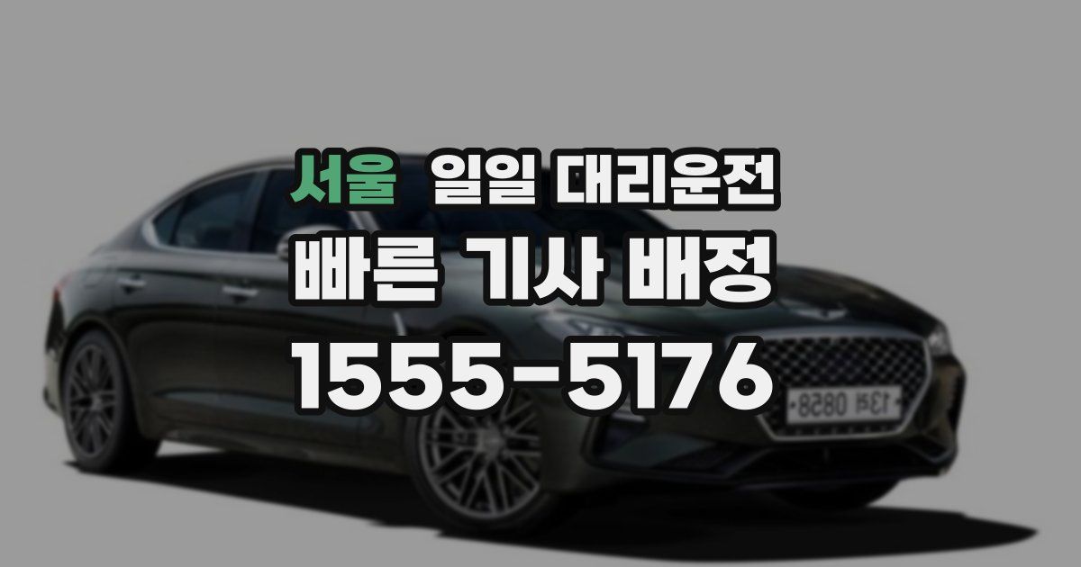 서울 일일 대리운전