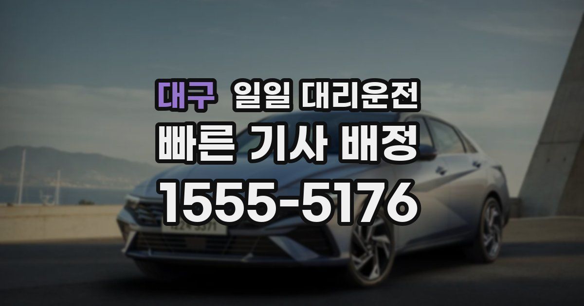 대구 일일 대리운전