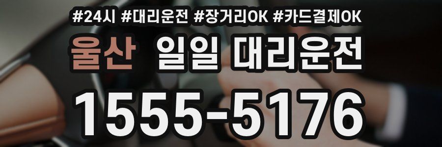 울산 일일 대리운전