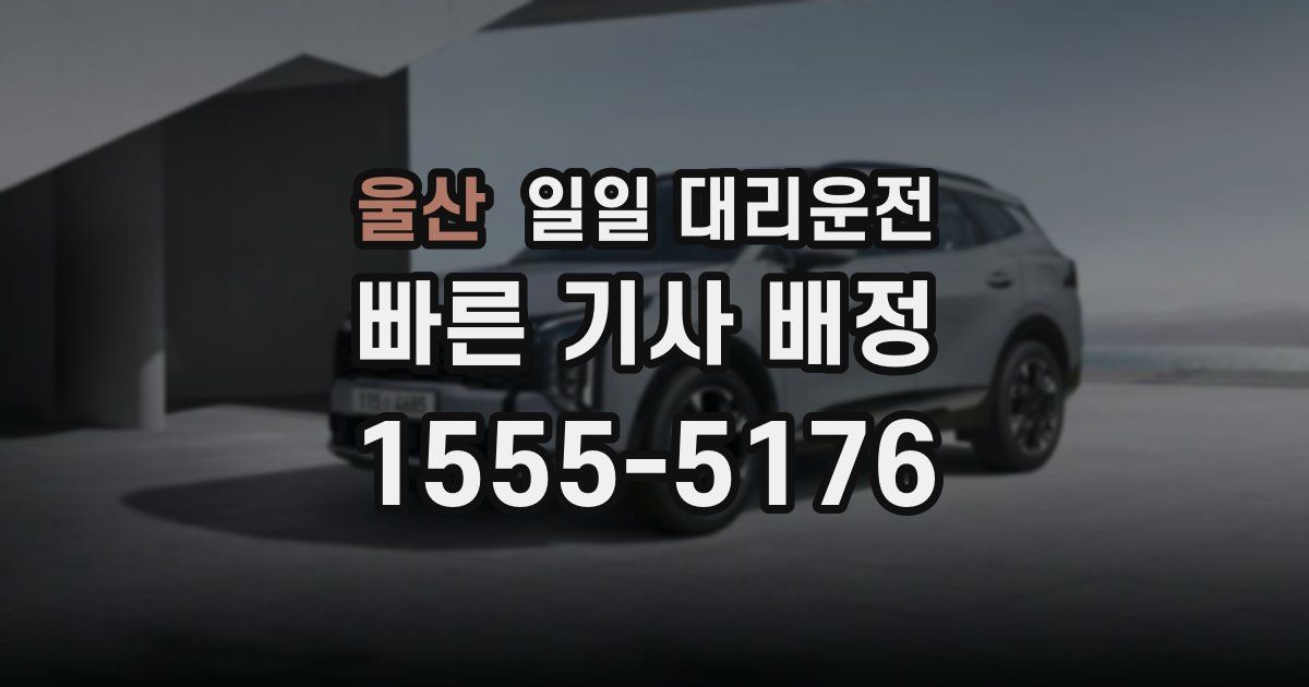 울산 일일 대리운전