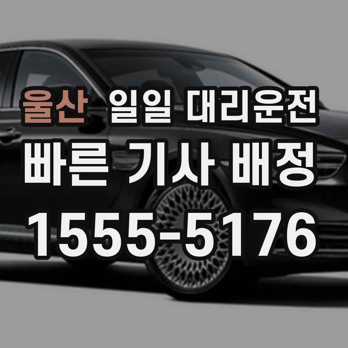 울산 일일 대리운전