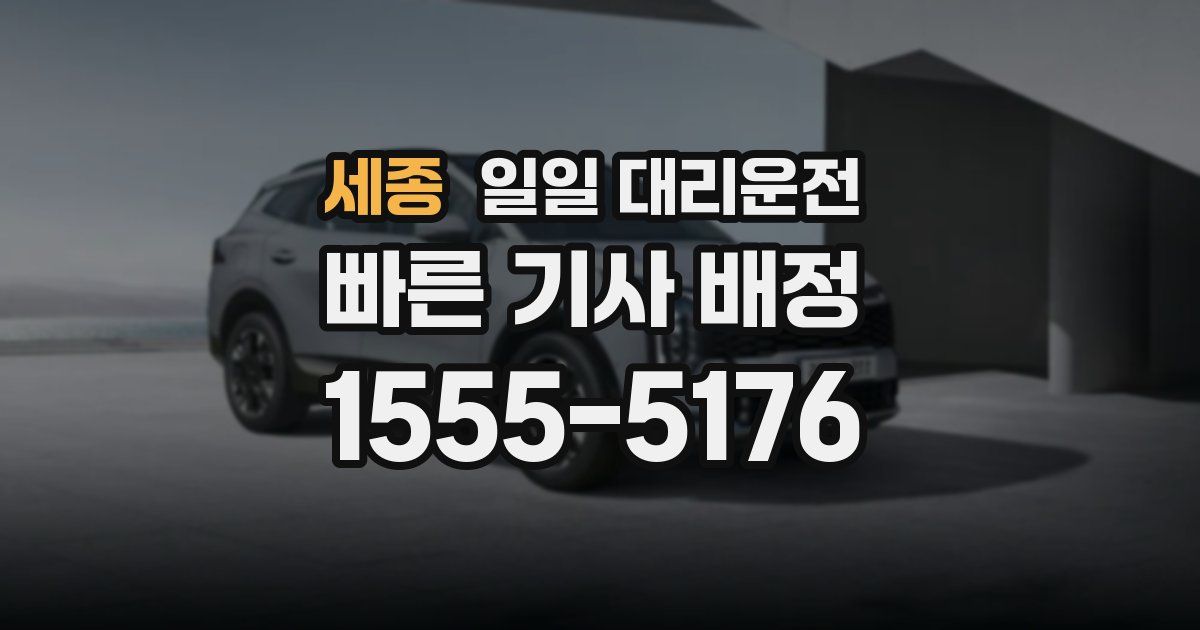 세종 일일 대리운전