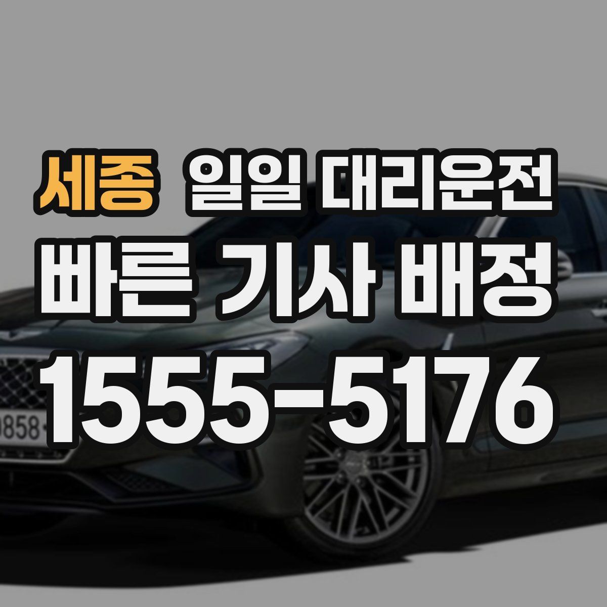 세종 일일 대리운전