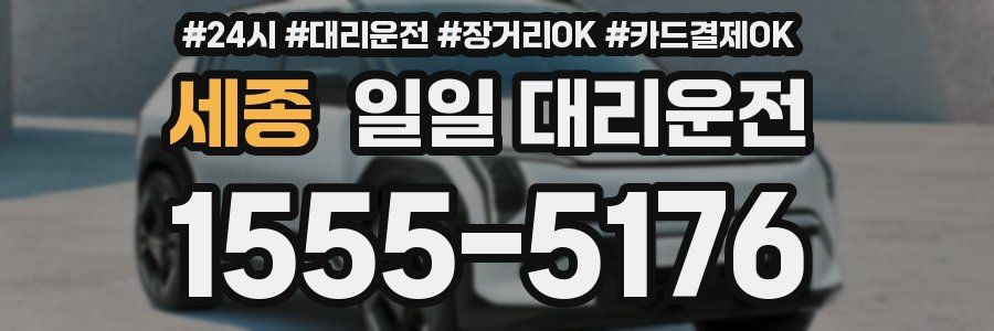 세종 일일 대리운전