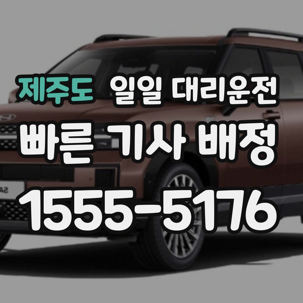 제주도 일일 대리운전