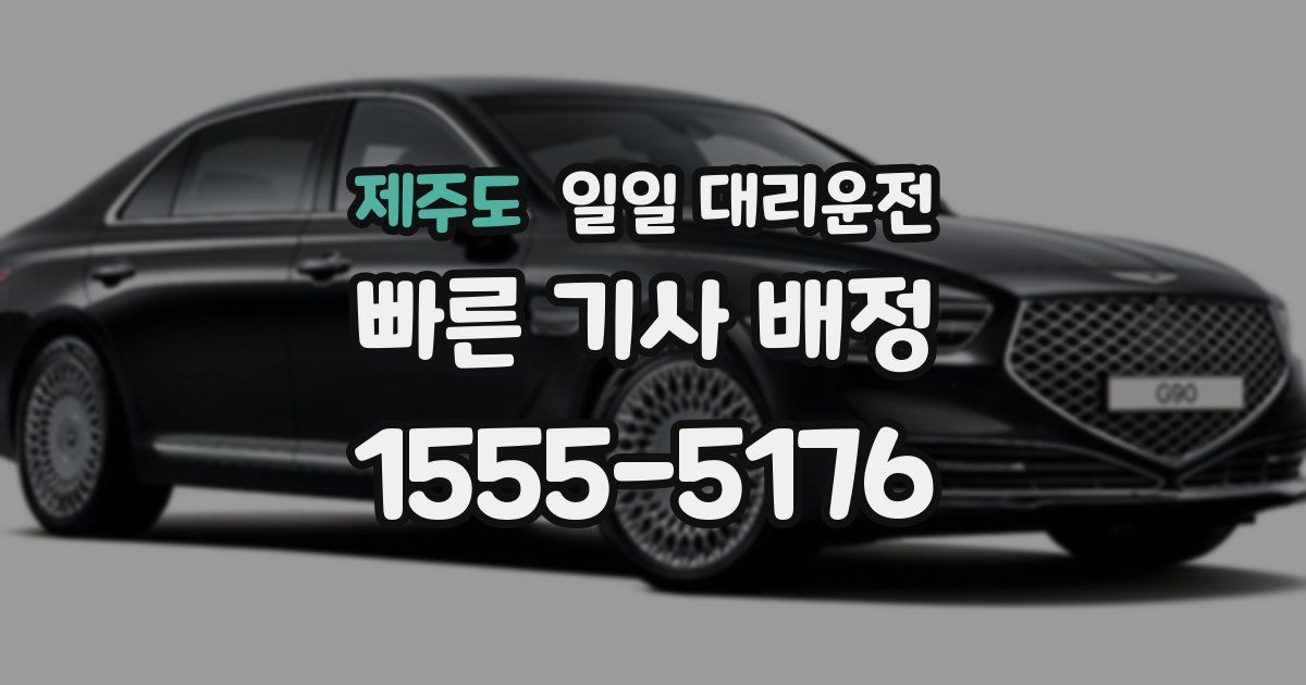 제주도 일일 대리운전