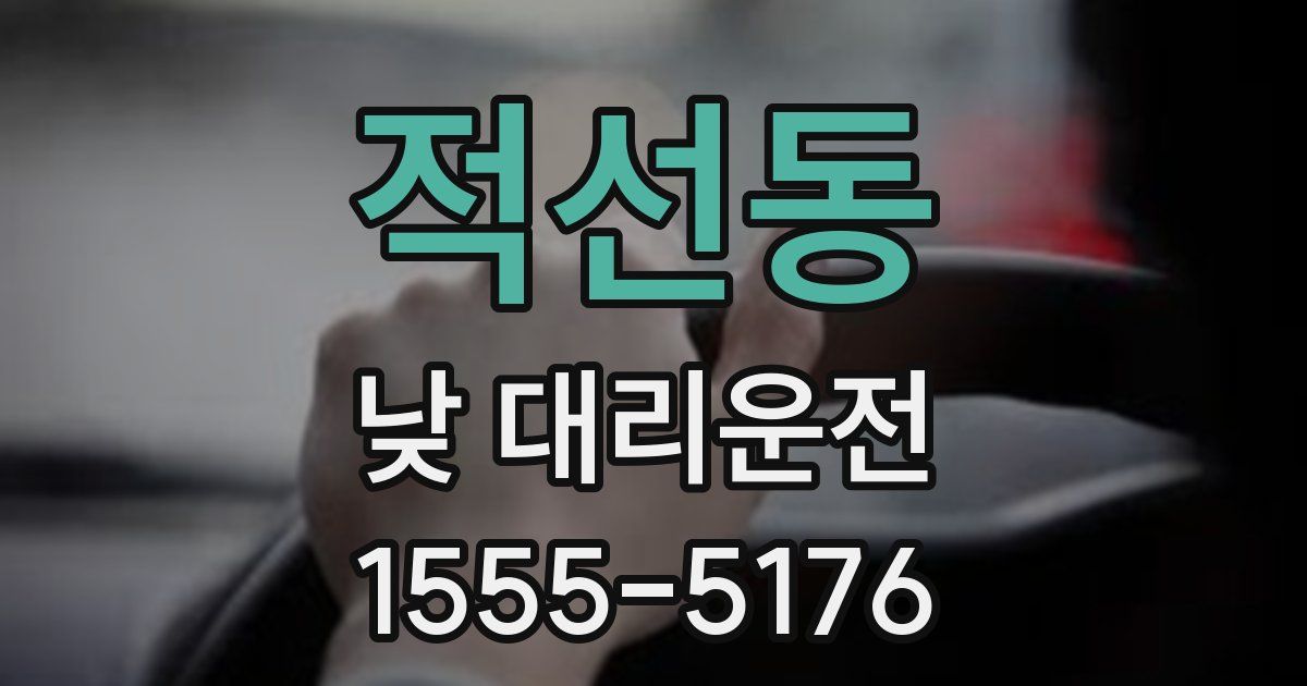적선동 낮 대리운전