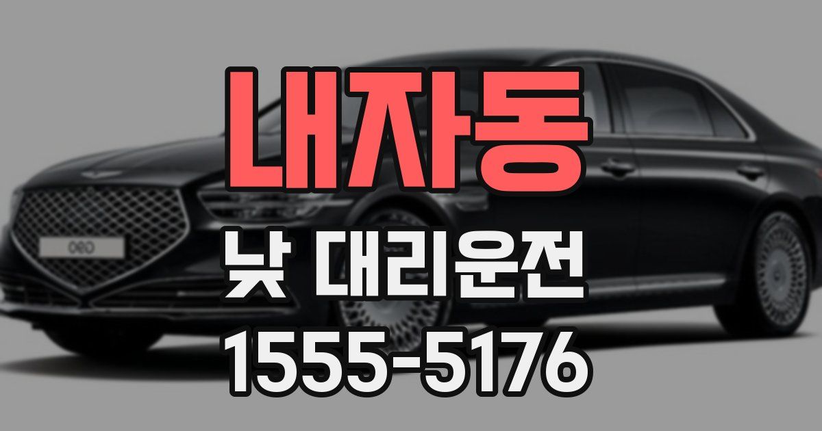 내자동 낮 대리운전