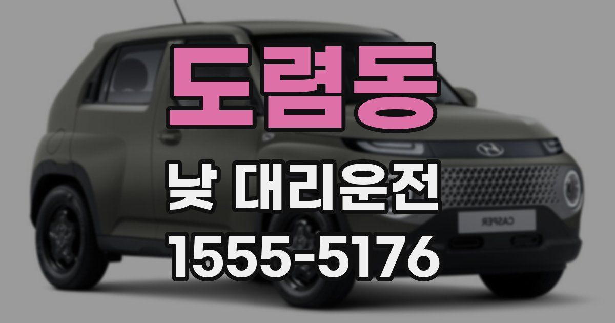 도렴동 낮 대리운전