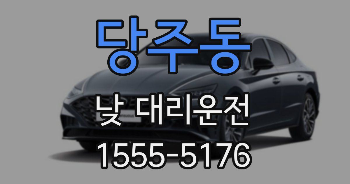 당주동 낮 대리운전