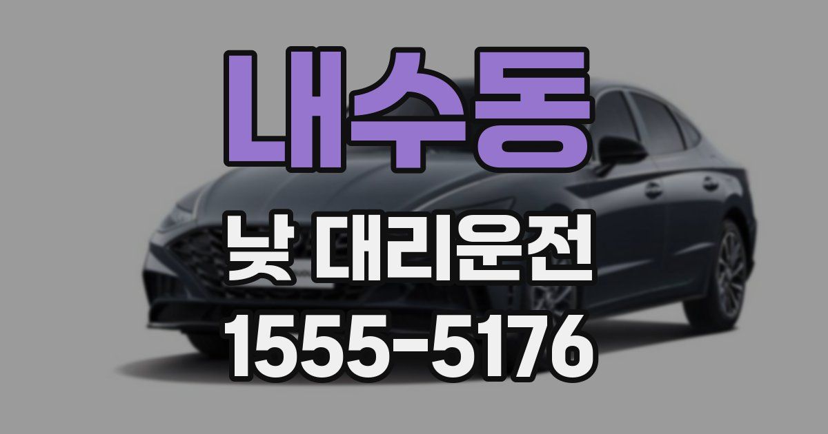 내수동 낮 대리운전