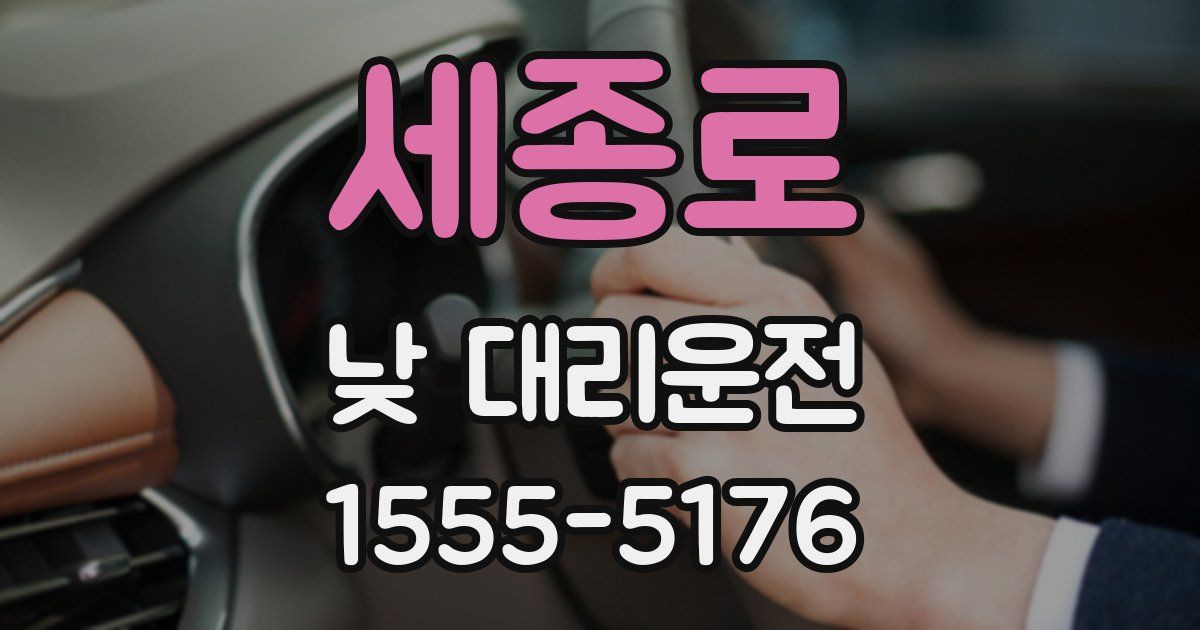 세종로 낮 대리운전