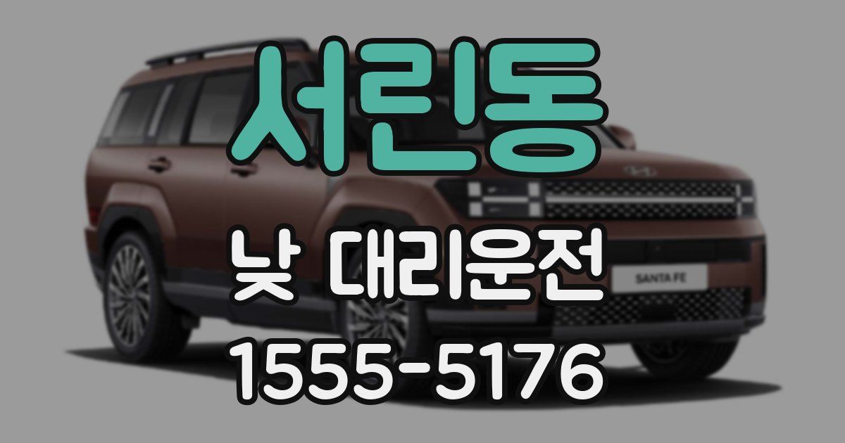 서린동 낮 대리운전
