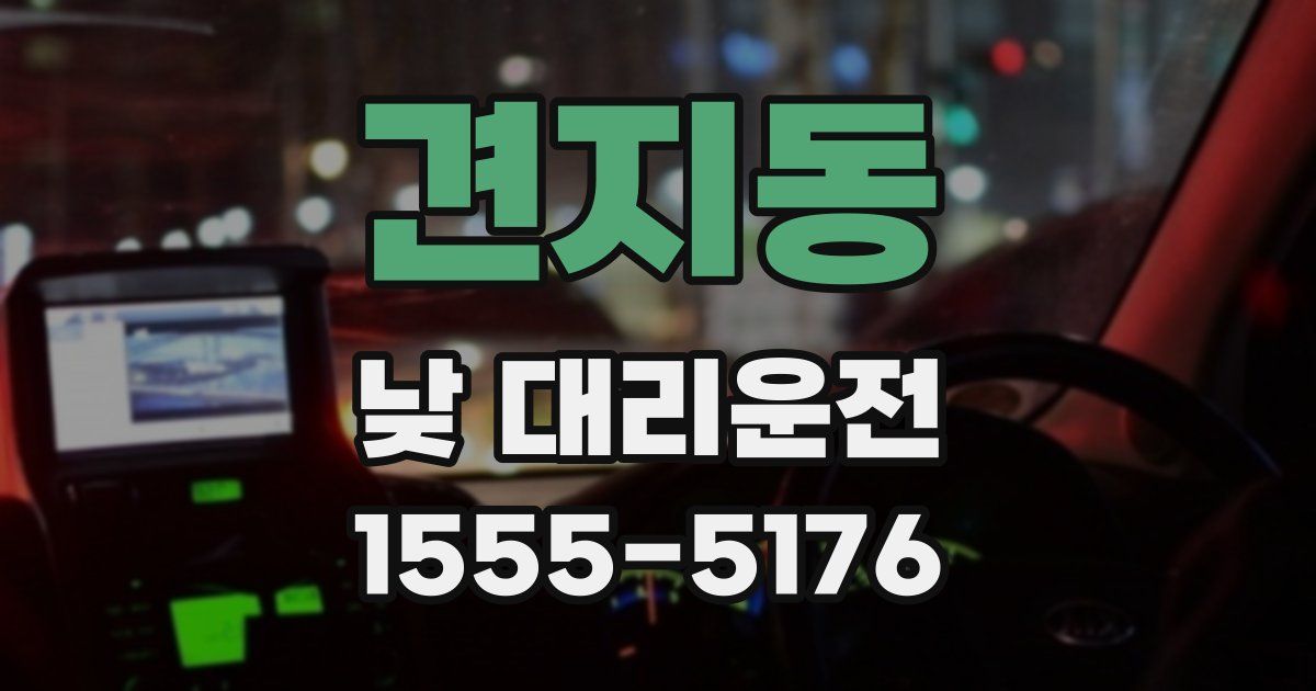 견지동 낮 대리운전