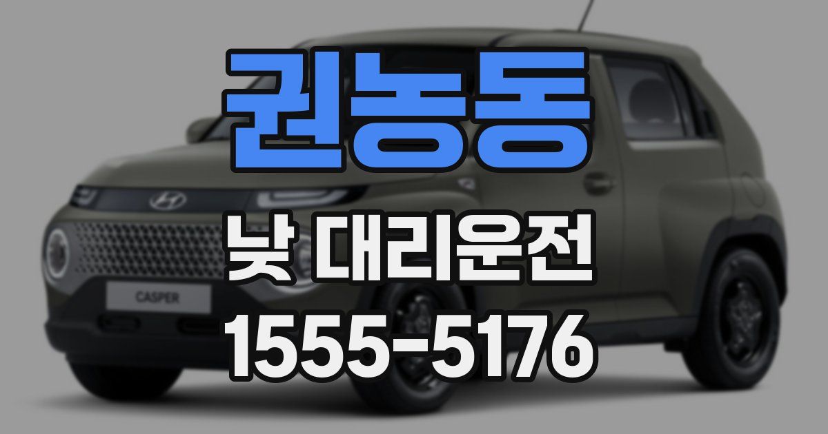 권농동 낮 대리운전