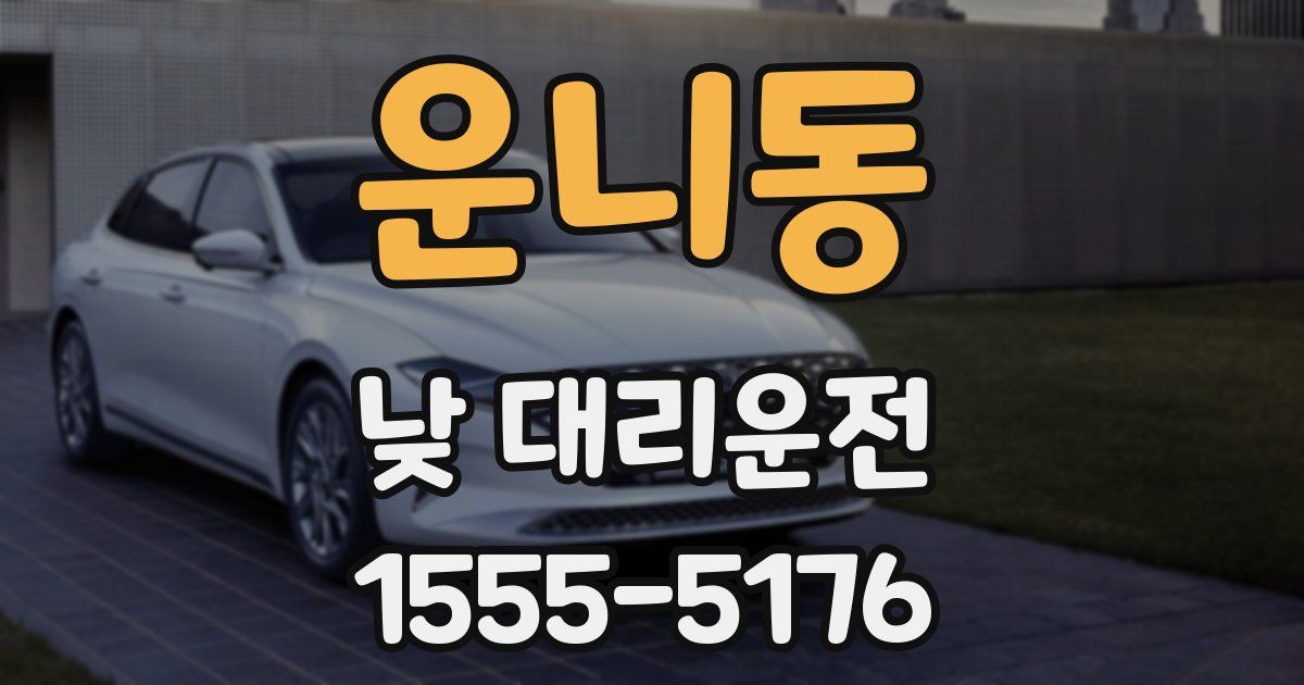운니동 낮 대리운전