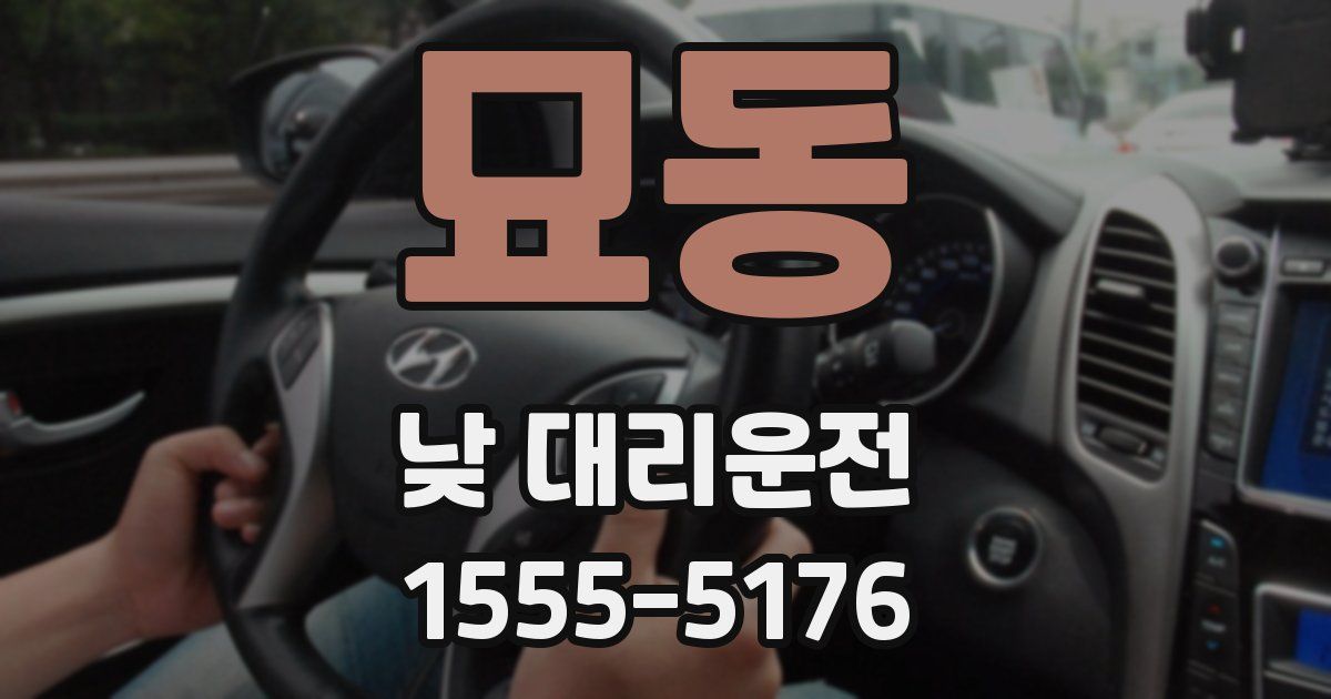 묘동 낮 대리운전