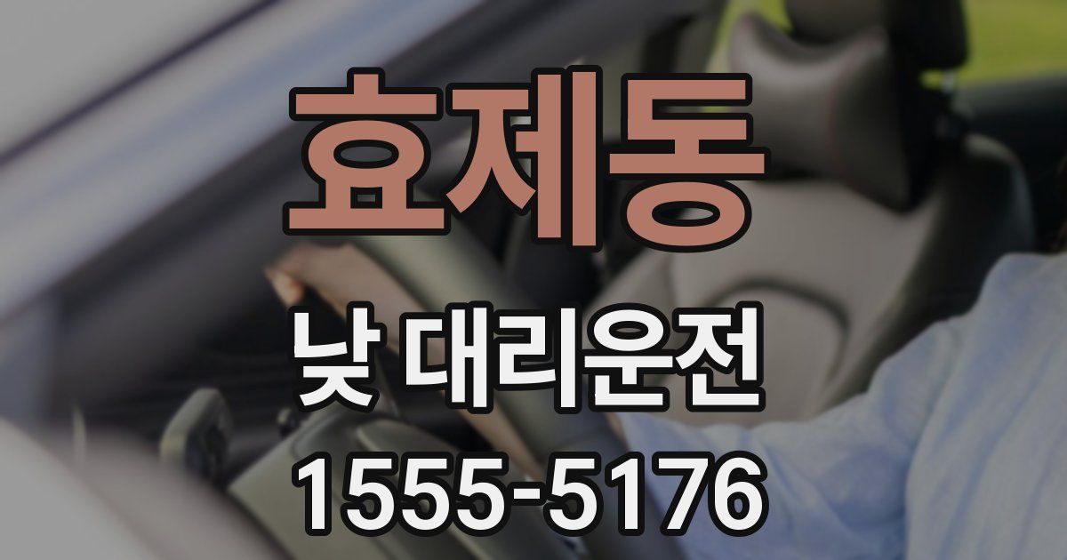 효제동 낮 대리운전