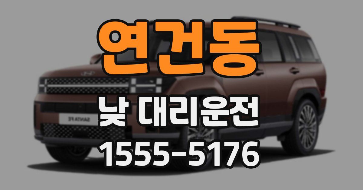 연건동 낮 대리운전