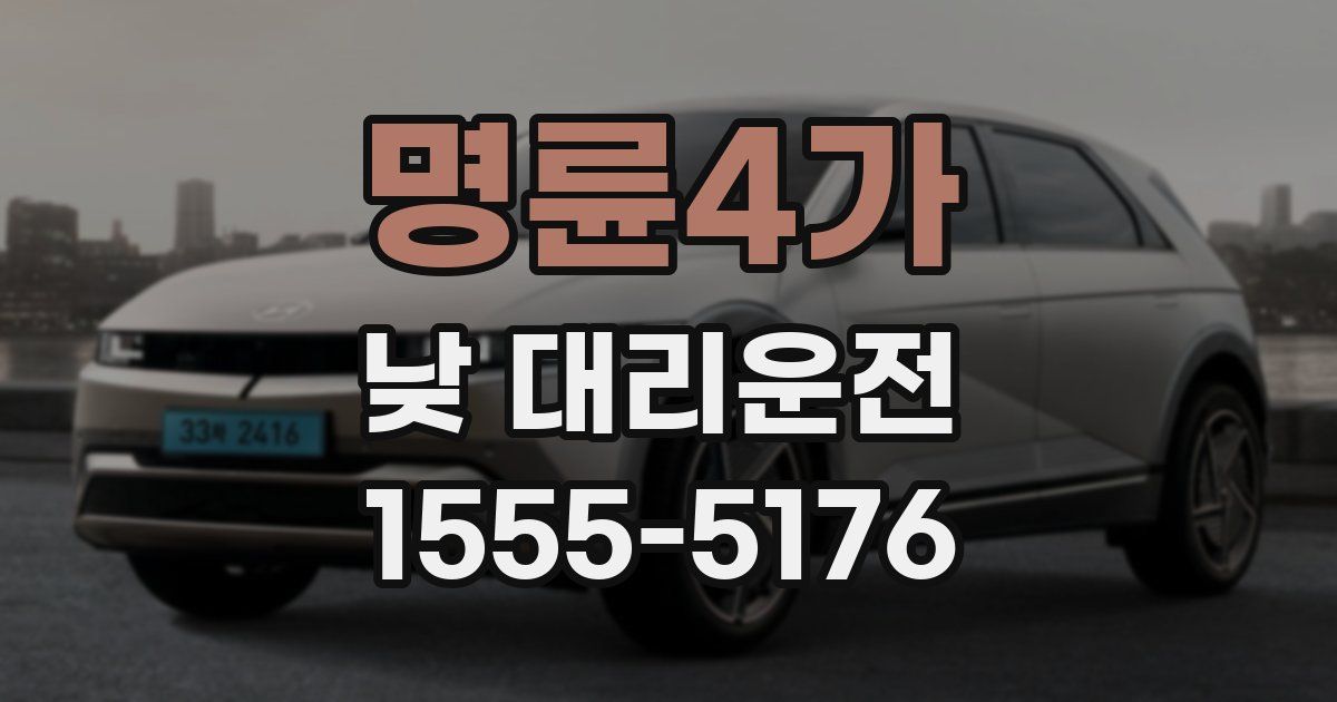 명륜4가 낮 대리운전
