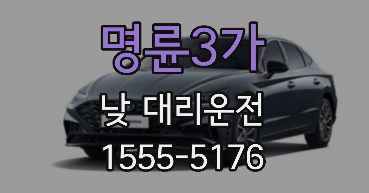 명륜3가 낮 대리운전