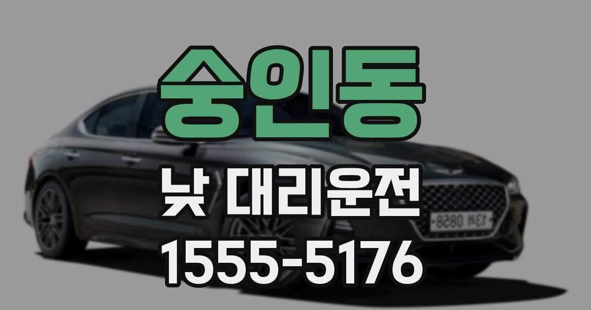 숭인동 낮 대리운전