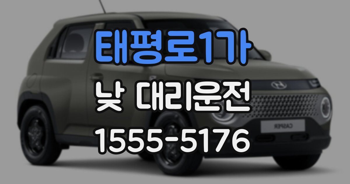 태평로1가 낮 대리운전