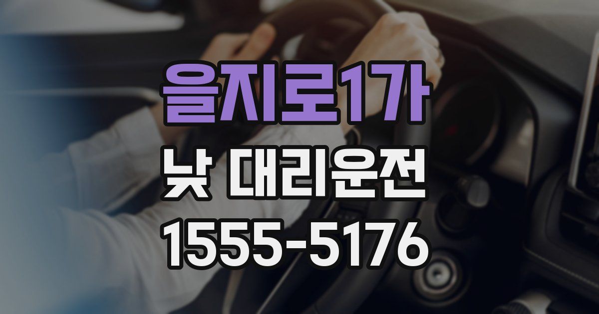 을지로1가 낮 대리운전
