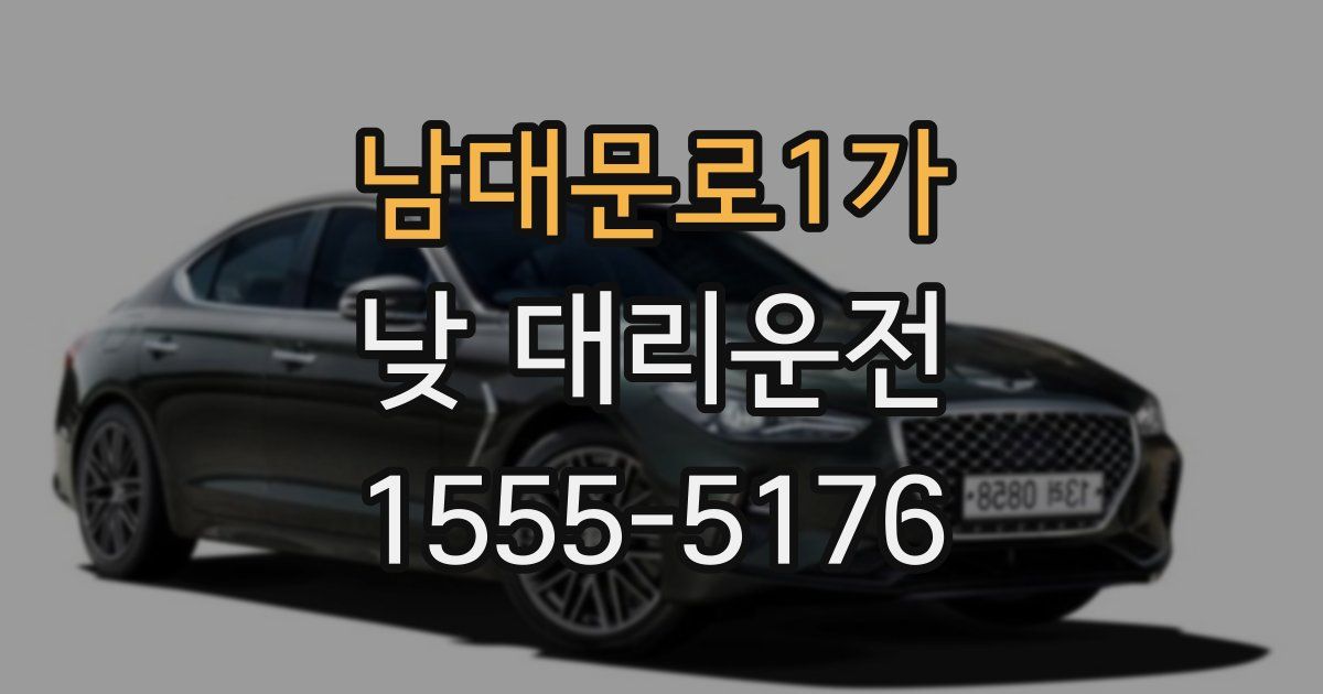 남대문로1가 낮 대리운전