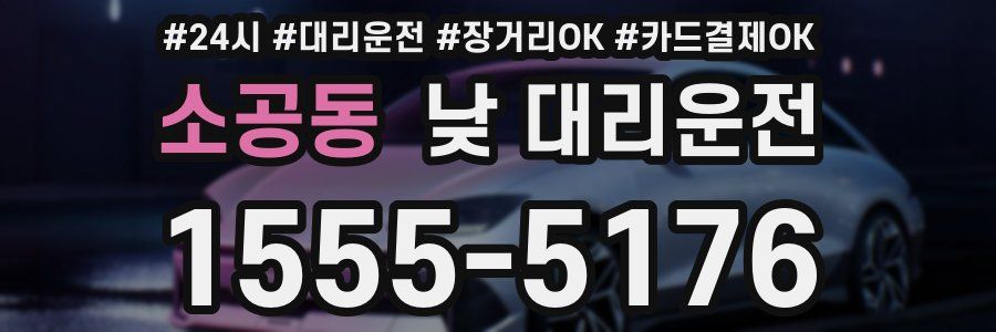 소공동 낮 대리운전