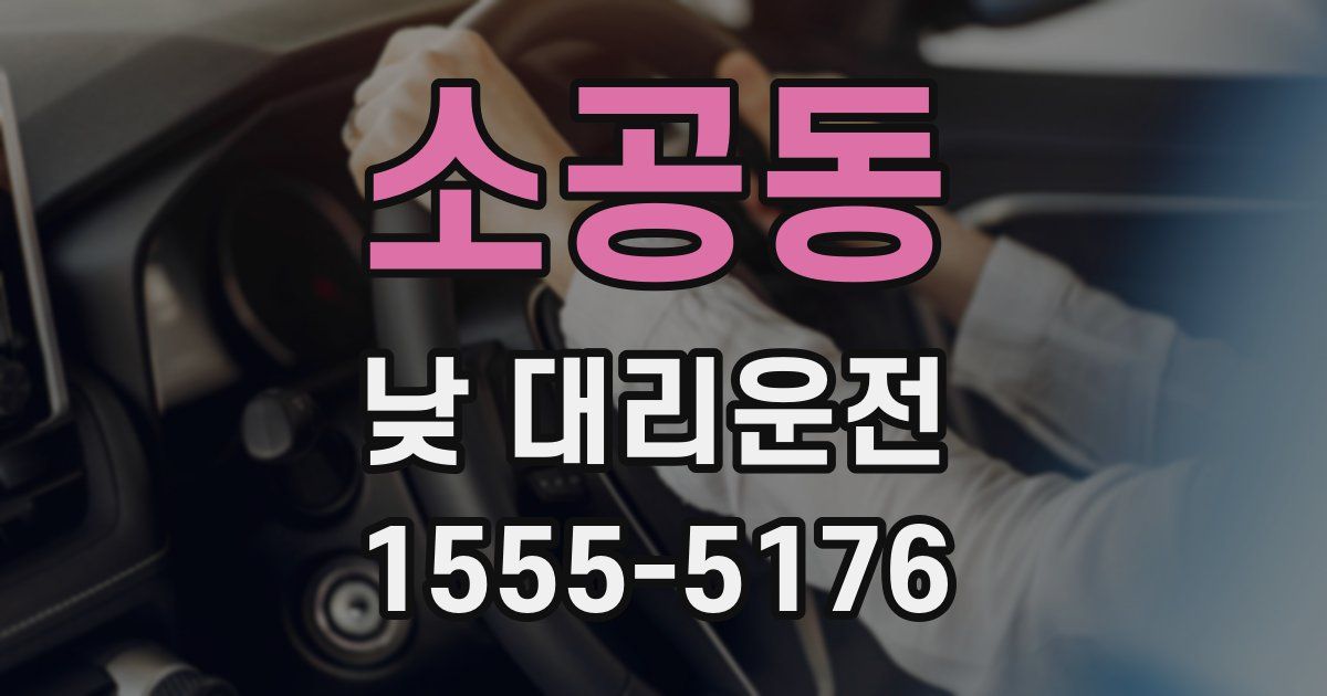 소공동 낮 대리운전