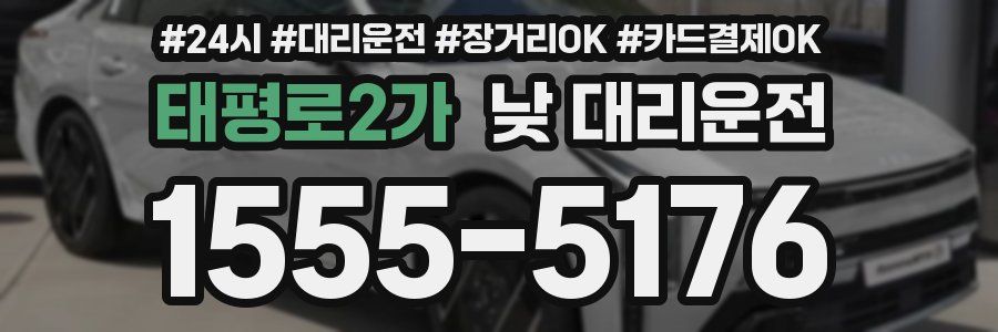 태평로2가 낮 대리운전