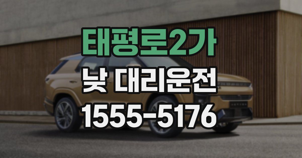 태평로2가 낮 대리운전