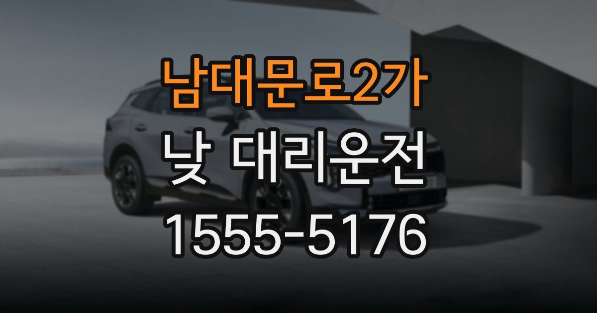 남대문로2가 낮 대리운전