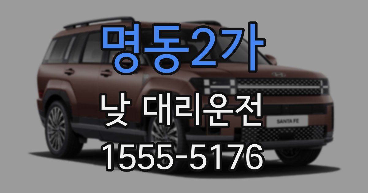 명동2가 낮 대리운전