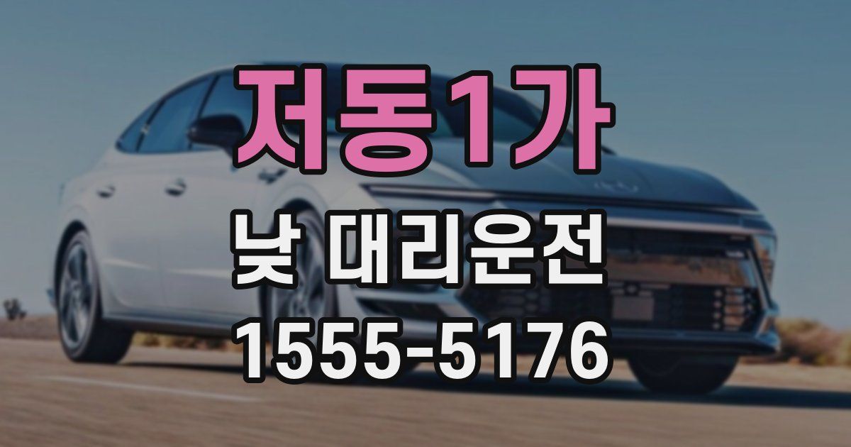 저동1가 낮 대리운전