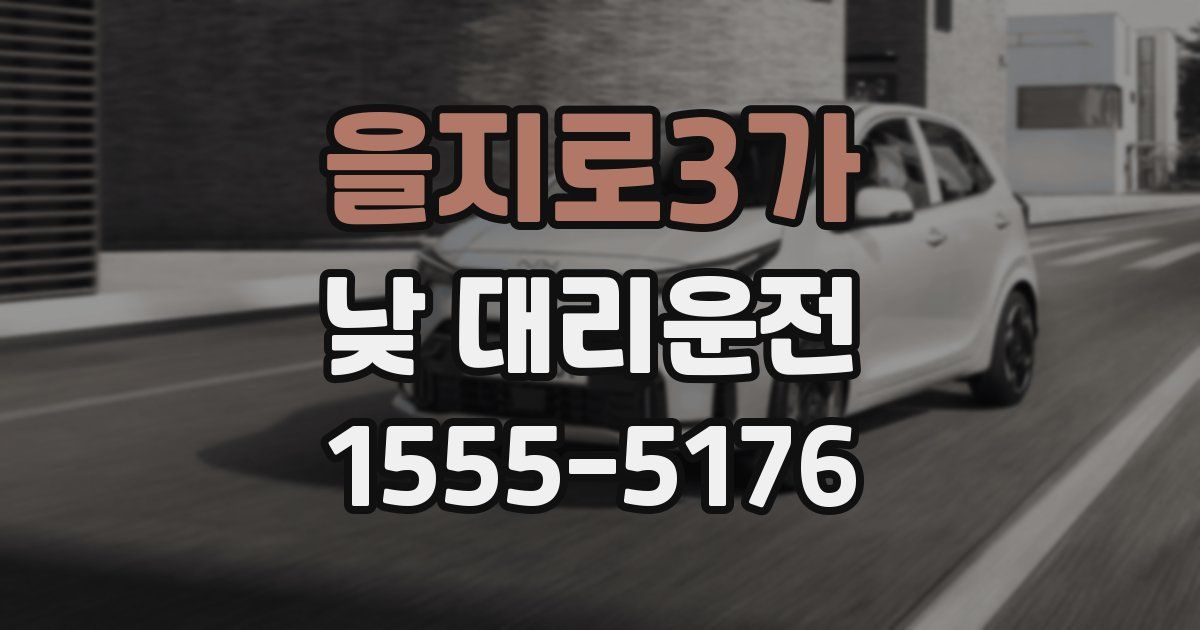 을지로3가 낮 대리운전