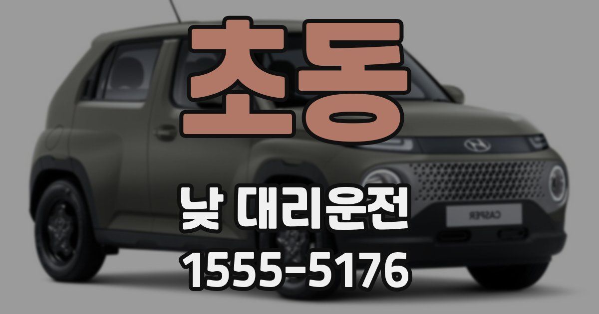 초동 낮 대리운전