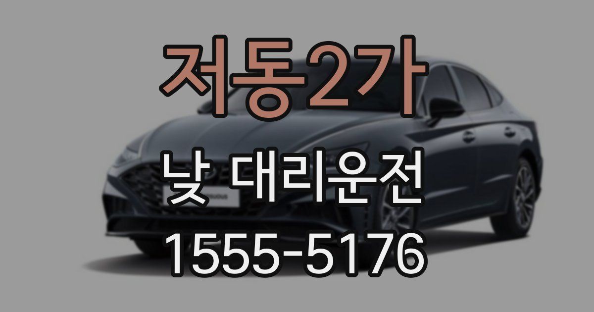 저동2가 낮 대리운전