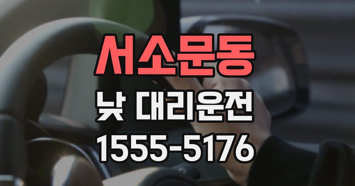 서소문동 낮 대리운전