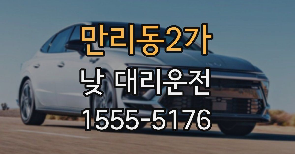 만리동2가 낮 대리운전