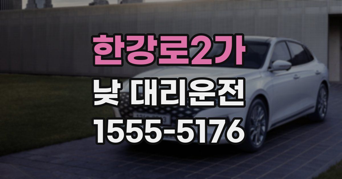 한강로2가 낮 대리운전