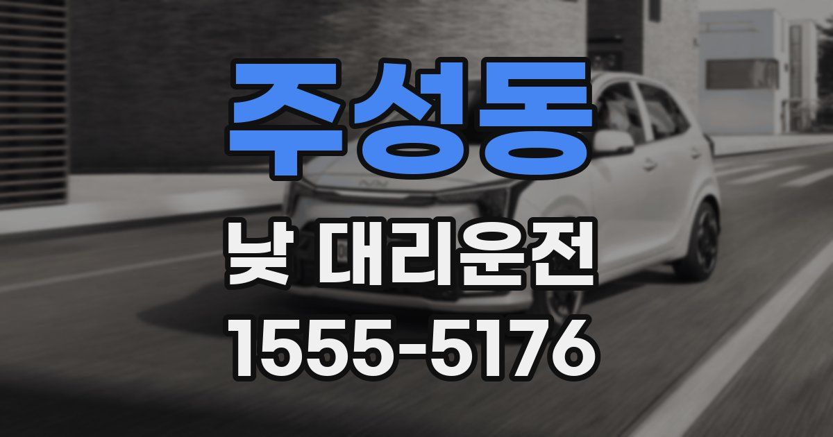 주성동 낮 대리운전