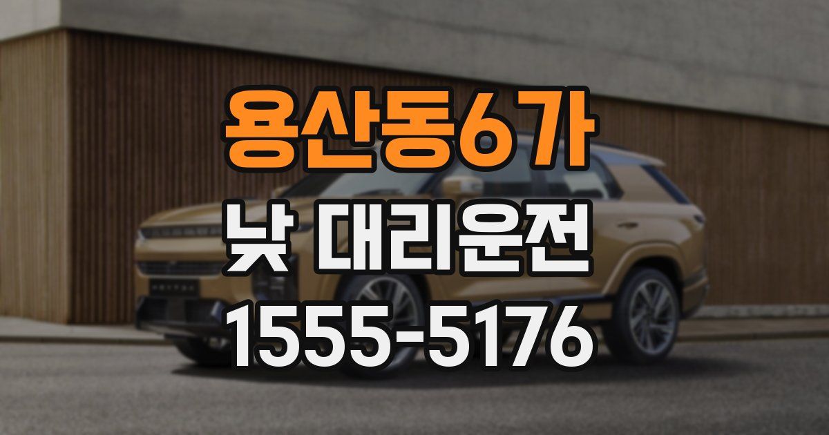 용산동6가 낮 대리운전