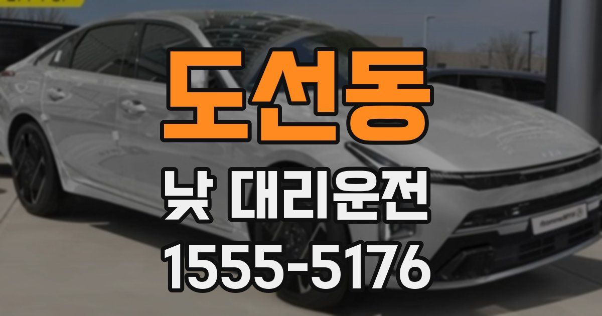 도선동 낮 대리운전