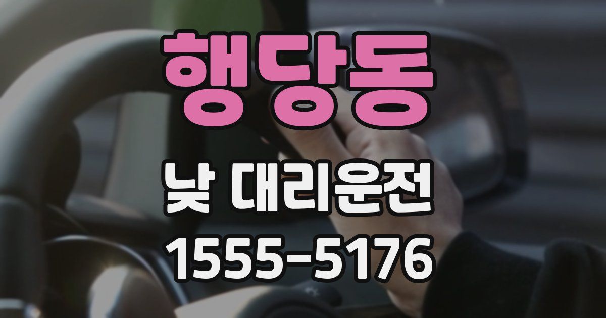 행당동 낮 대리운전